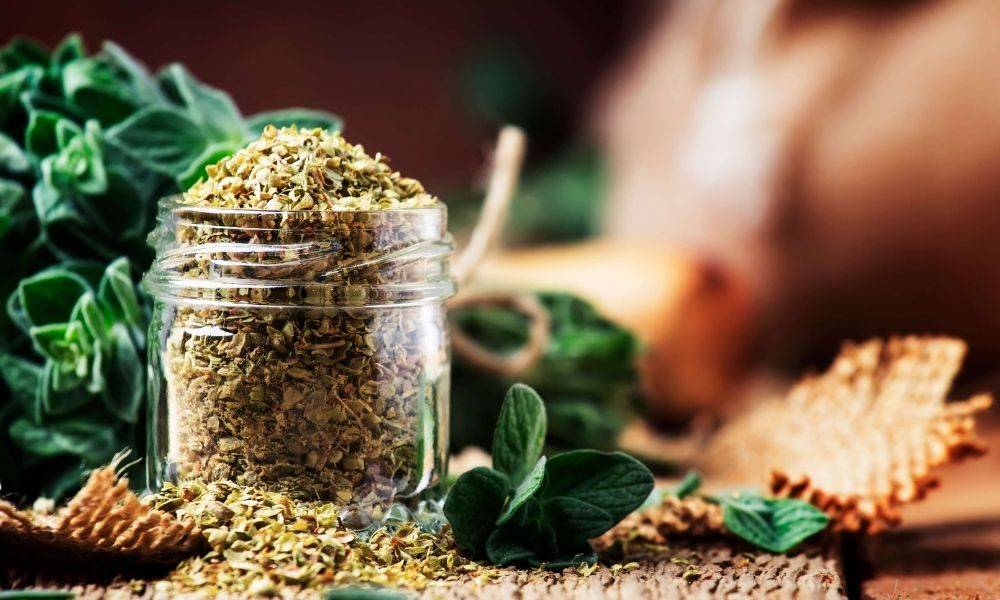 How to dry herbs at home
